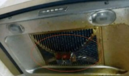 怎样清洗油烟机视频,视频教学，轻松告别油污困扰